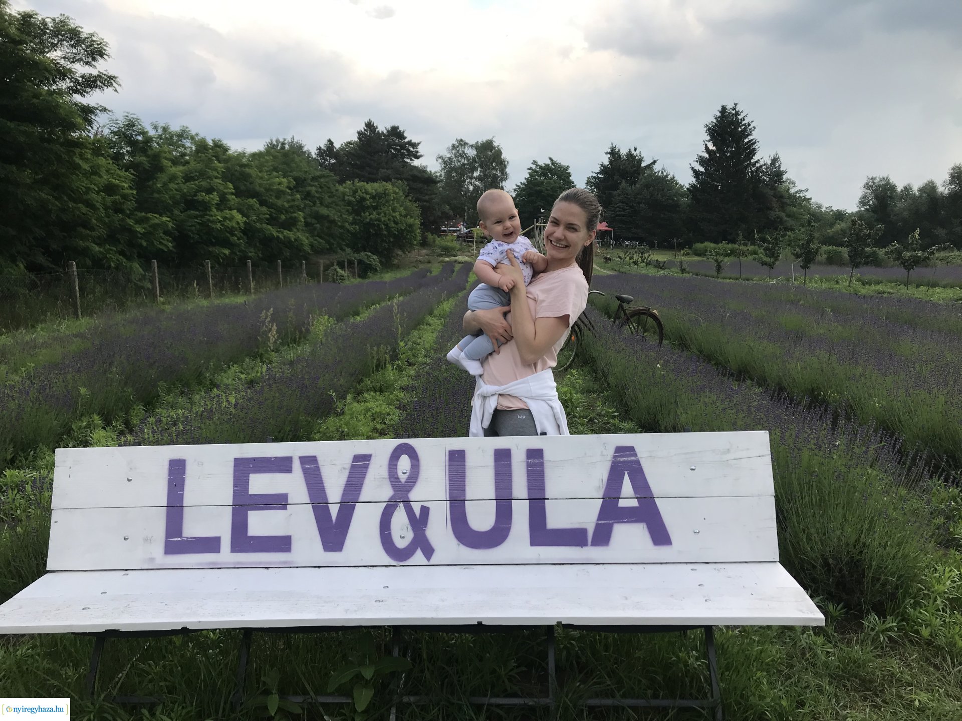 Szent Iván-éji naplementés levendulaszüret a Nyírturai Lev&ulában