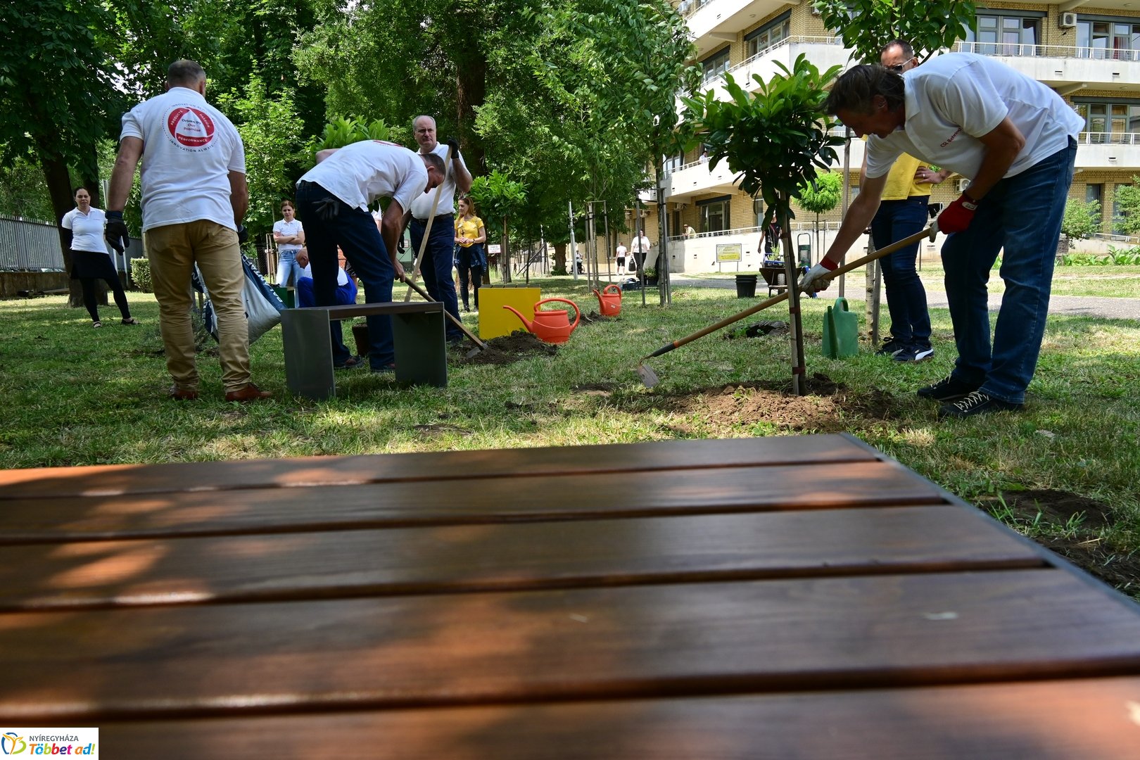 Szépíts, Építs, Parkosíts - SZÉP program a Jósa András kórházban