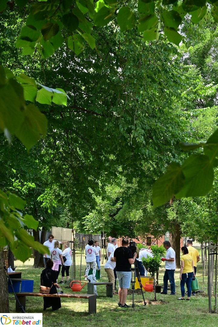 Szépíts, Építs, Parkosíts - SZÉP program a Jósa András kórházban