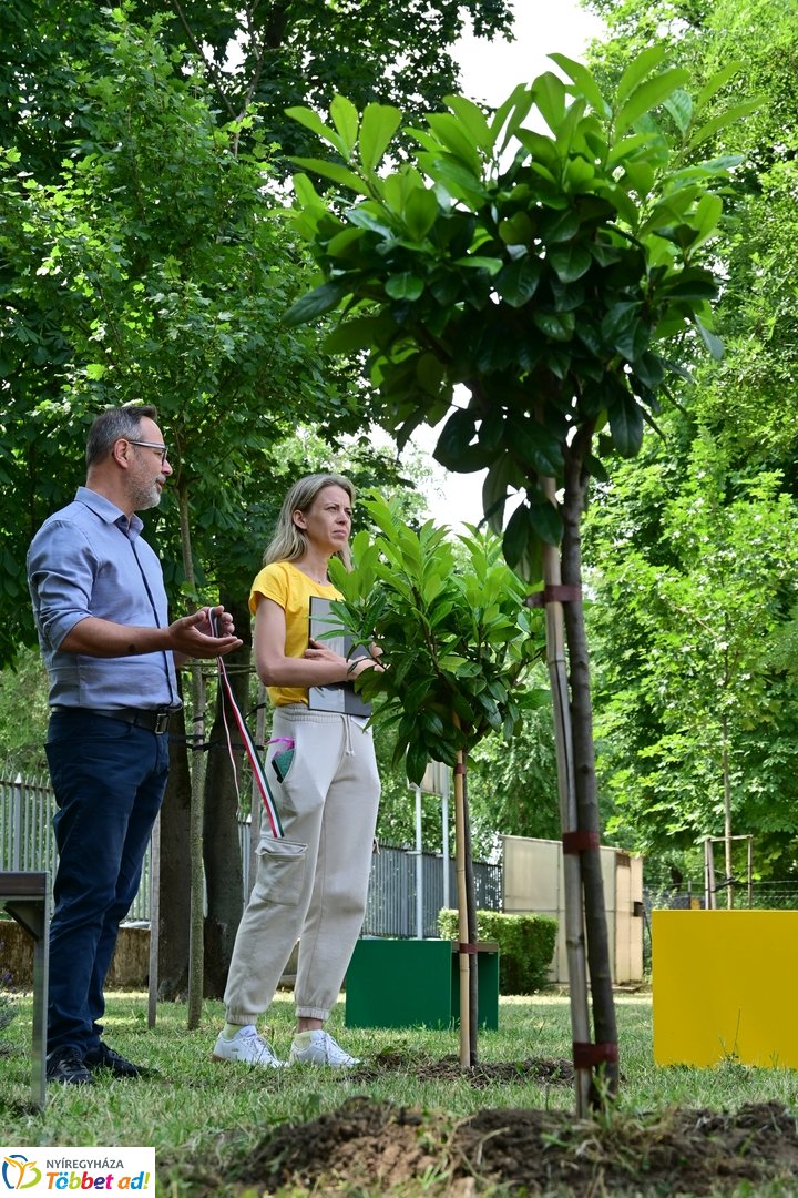 Szépíts, Építs, Parkosíts - SZÉP program a Jósa András kórházban