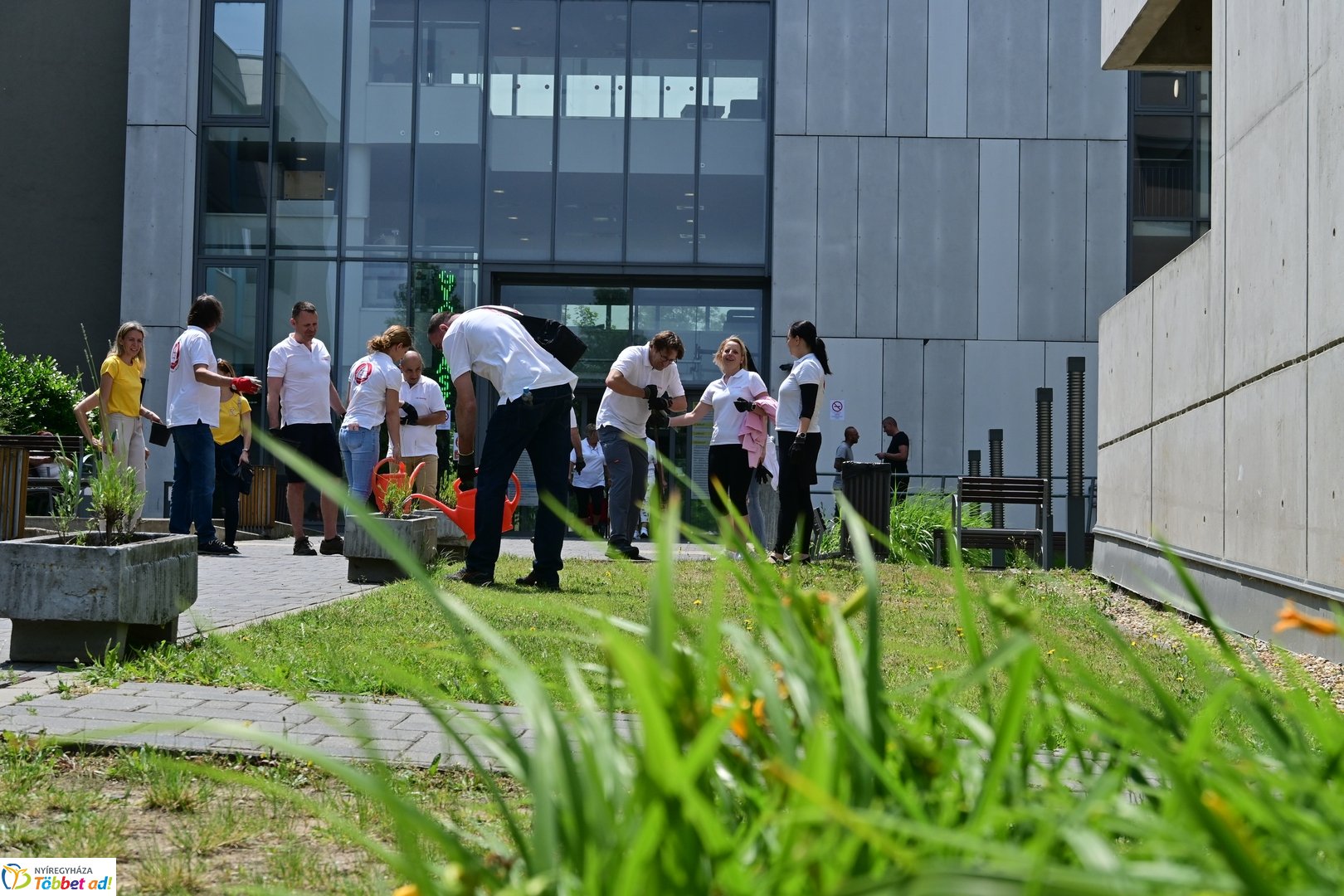 Szépíts, Építs, Parkosíts - SZÉP program a Jósa András kórházban