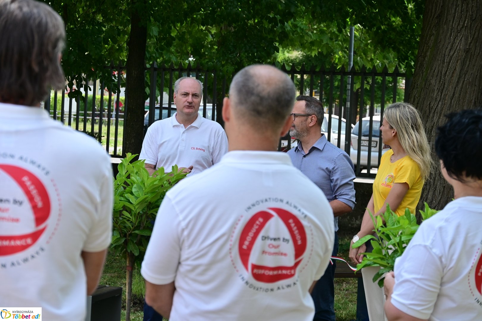 Szépíts, Építs, Parkosíts - SZÉP program a Jósa András kórházban
