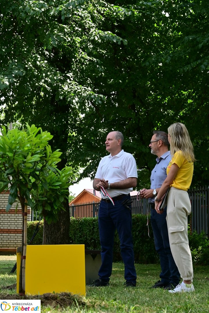 Szépíts, Építs, Parkosíts - SZÉP program a Jósa András kórházban