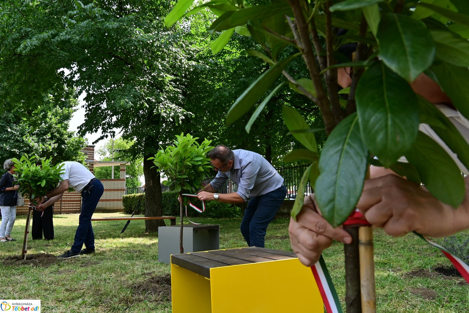 Szépíts, Építs, Parkosíts - SZÉP program a Jósa András kórházban