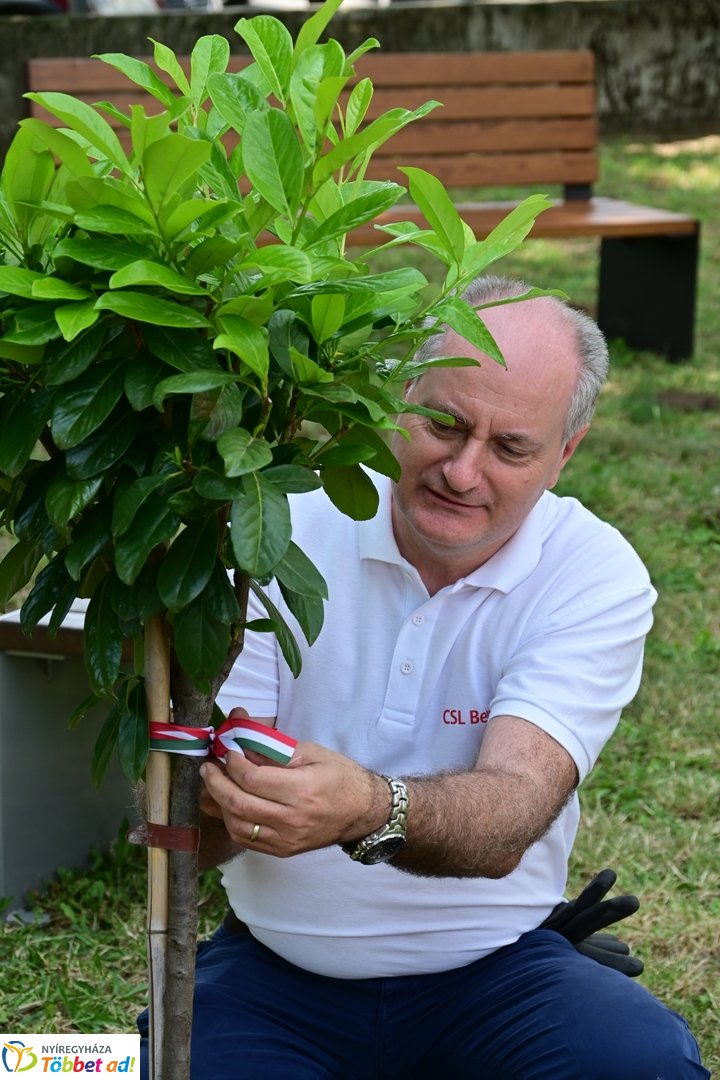 Szépíts, Építs, Parkosíts - SZÉP program a Jósa András kórházban