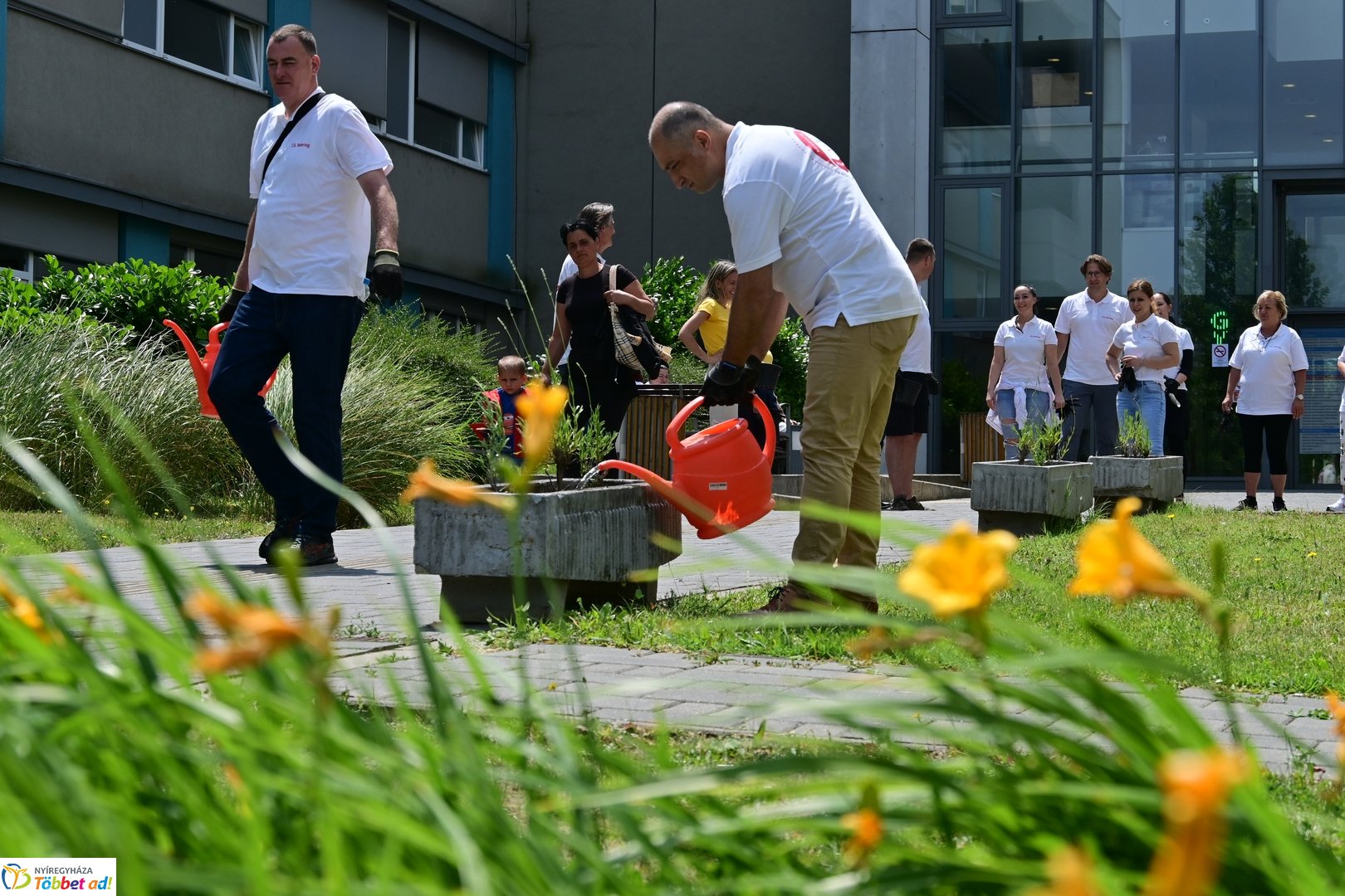Szépíts, Építs, Parkosíts - SZÉP program a Jósa András kórházban