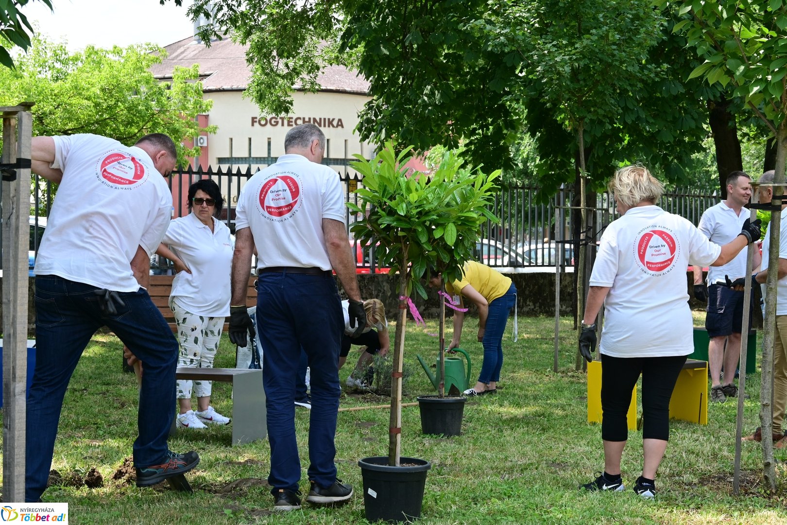 Szépíts, Építs, Parkosíts - SZÉP program a Jósa András kórházban