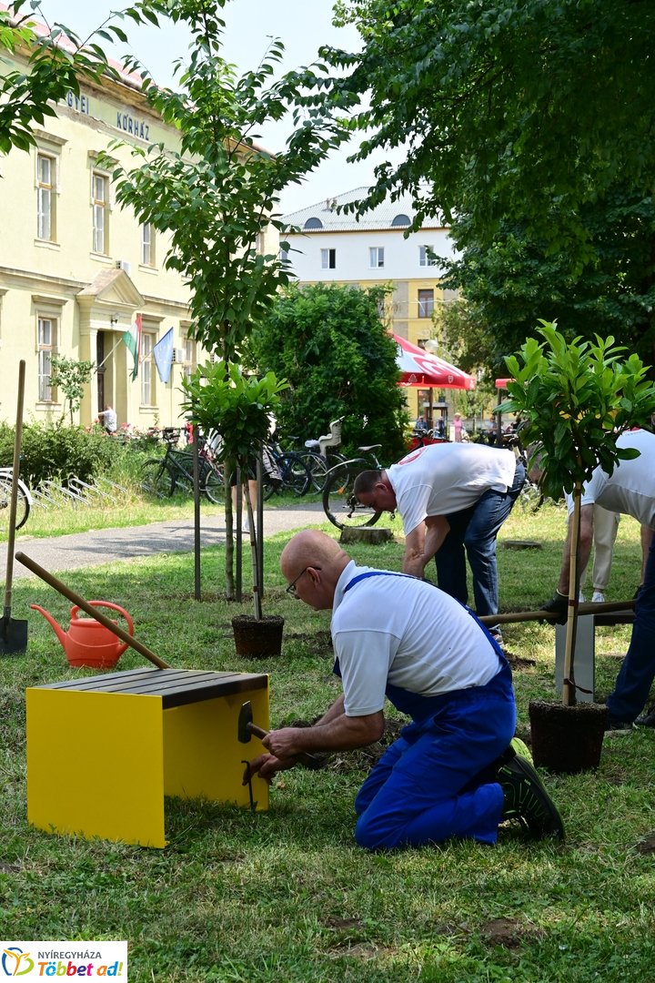 Szépíts, Építs, Parkosíts - SZÉP program a Jósa András kórházban