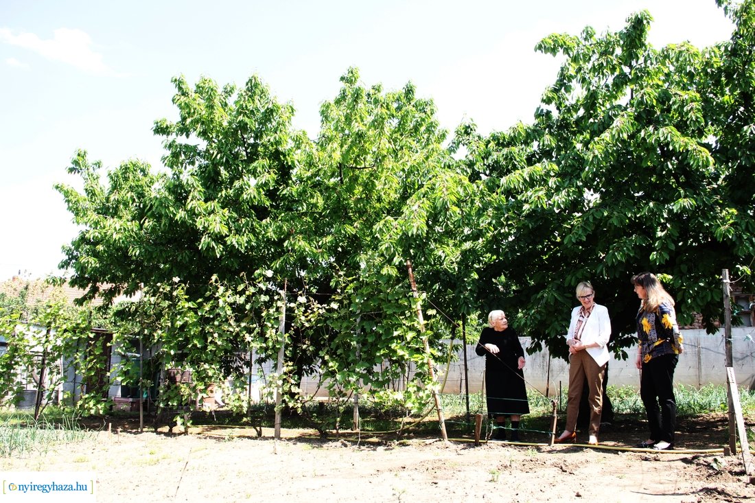 Szépkorú köszöntése - Tóth Miklósné 20230522