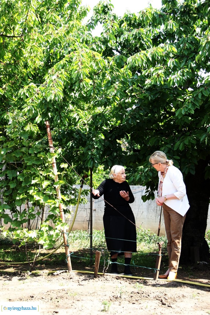 Szépkorú köszöntése - Tóth Miklósné 20230522