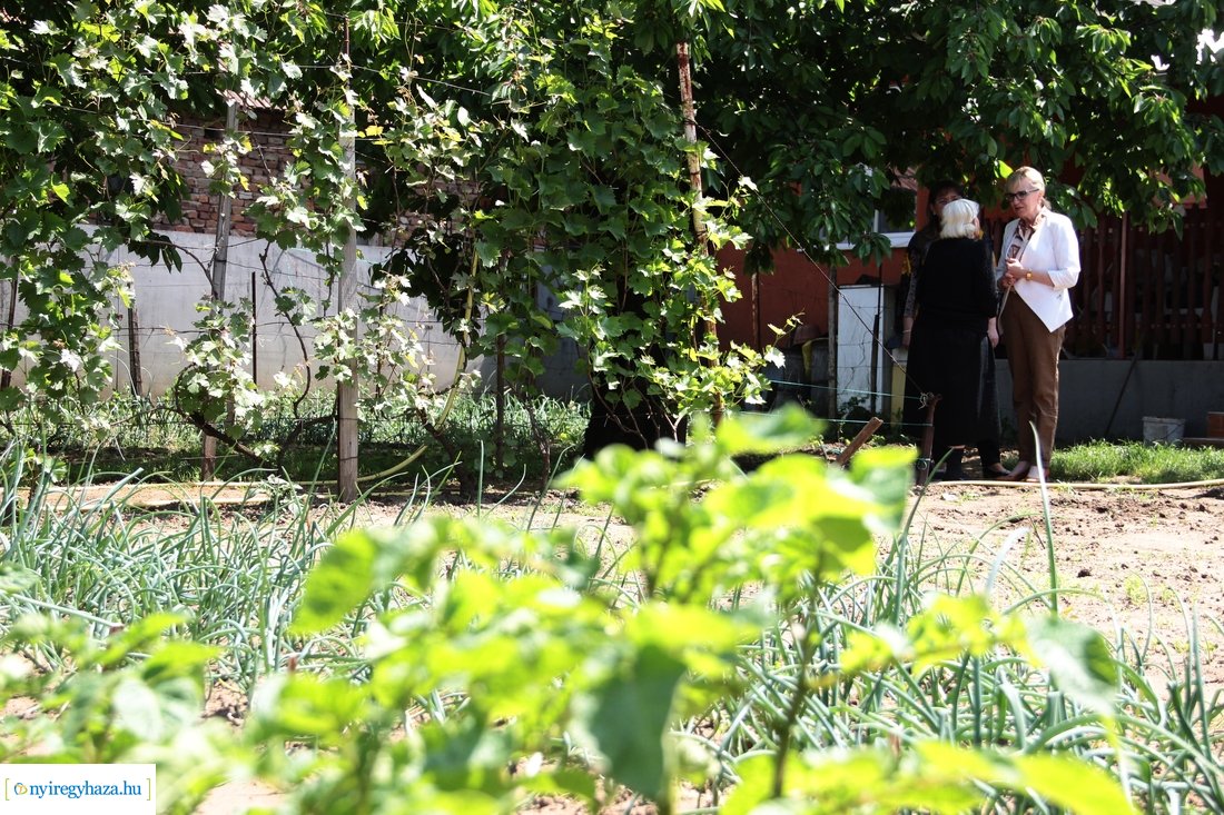 Szépkorú köszöntése - Tóth Miklósné 20230522