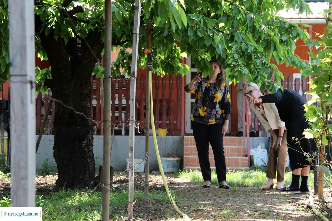 Szépkorú köszöntése - Tóth Miklósné 20230522