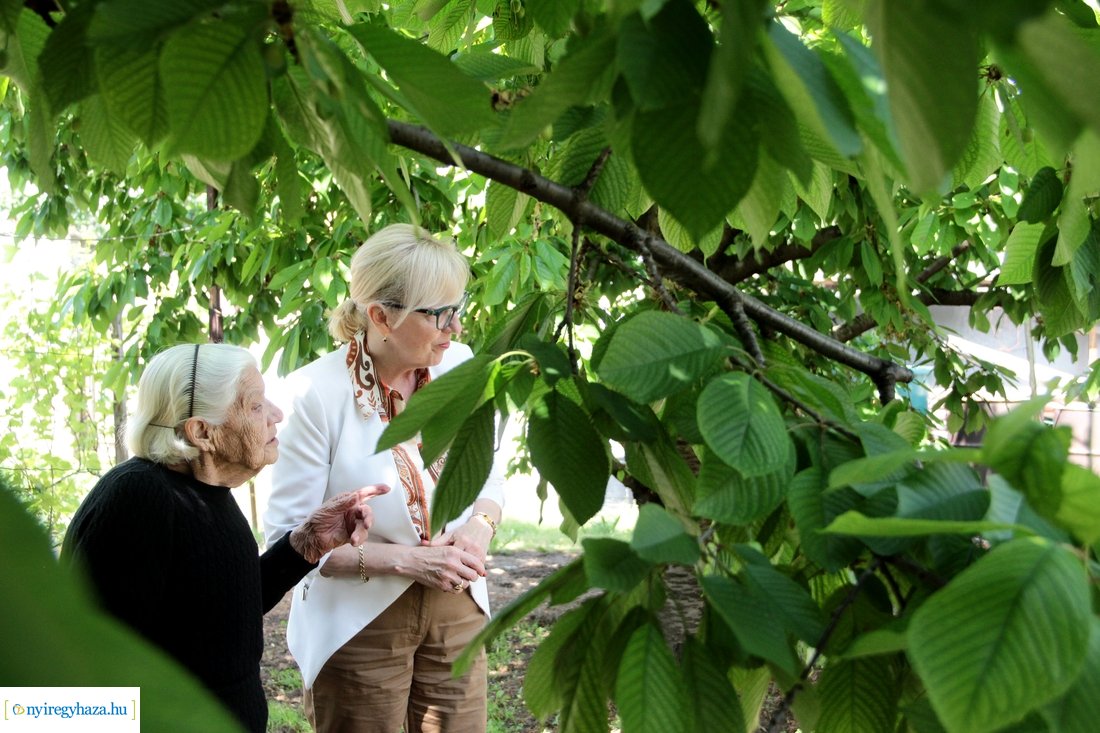 Szépkorú köszöntése - Tóth Miklósné 20230522