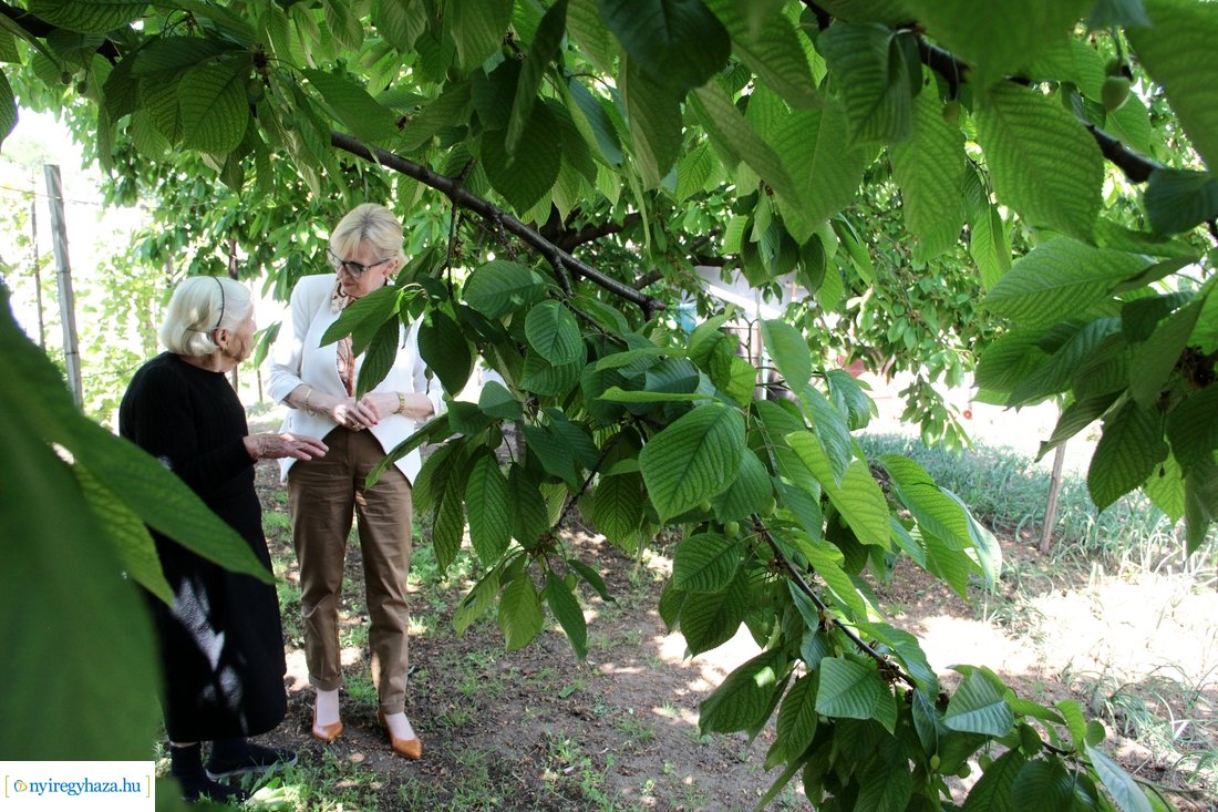 Szépkorú köszöntése - Tóth Miklósné 20230522