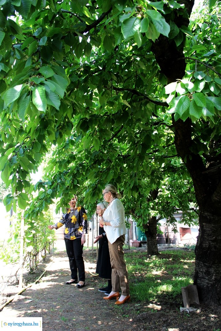 Szépkorú köszöntése - Tóth Miklósné 20230522