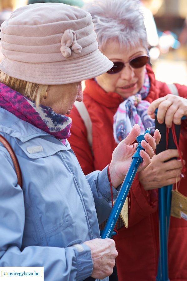 Szépkorúak első sétája az Erdei Tornapályán