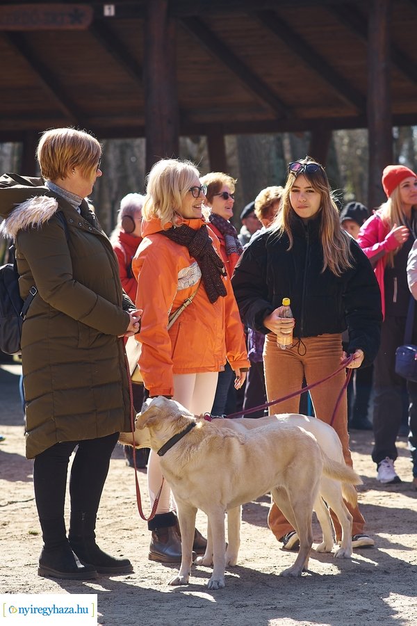 Szépkorúak első sétája az Erdei Tornapályán