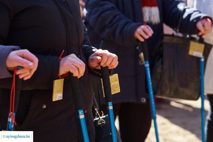 Szépkorúak első sétája az Erdei Tornapályán