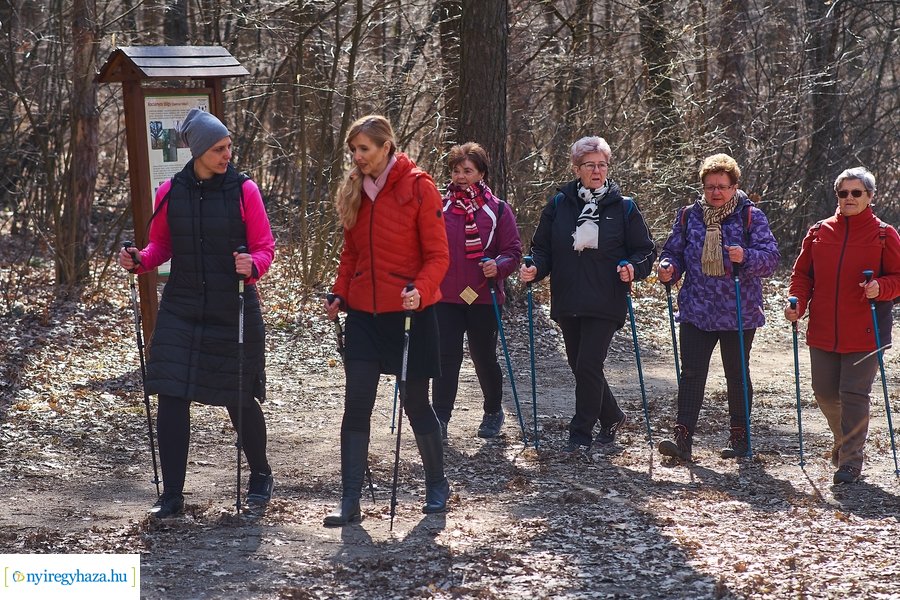 Szépkorúak első sétája az Erdei Tornapályán