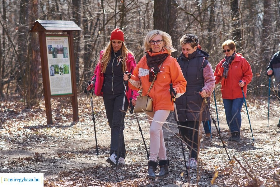 Szépkorúak első sétája az Erdei Tornapályán