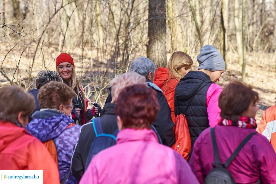 Szépkorúak első sétája az Erdei Tornapályán