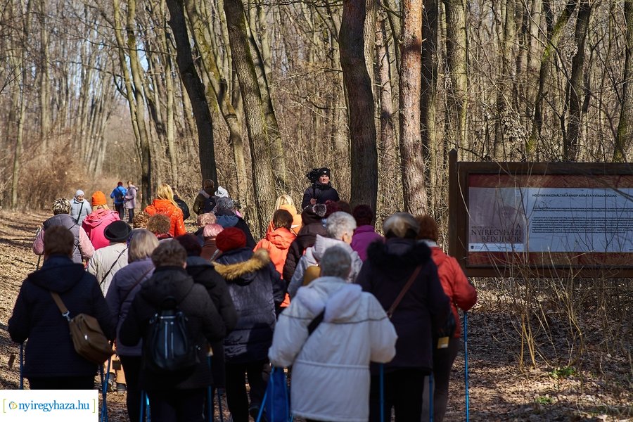 Szépkorúak első sétája az Erdei Tornapályán