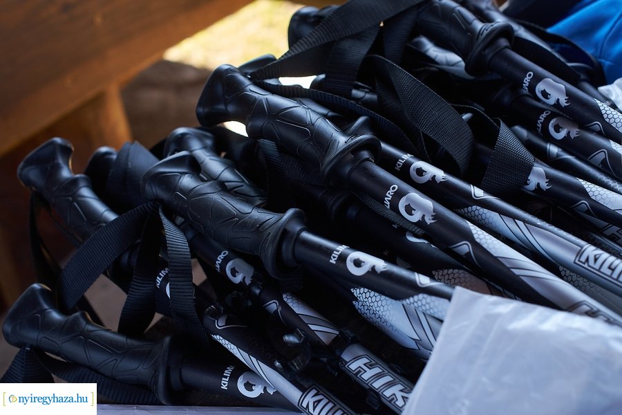 Szépkorúak első sétája az Erdei Tornapályán