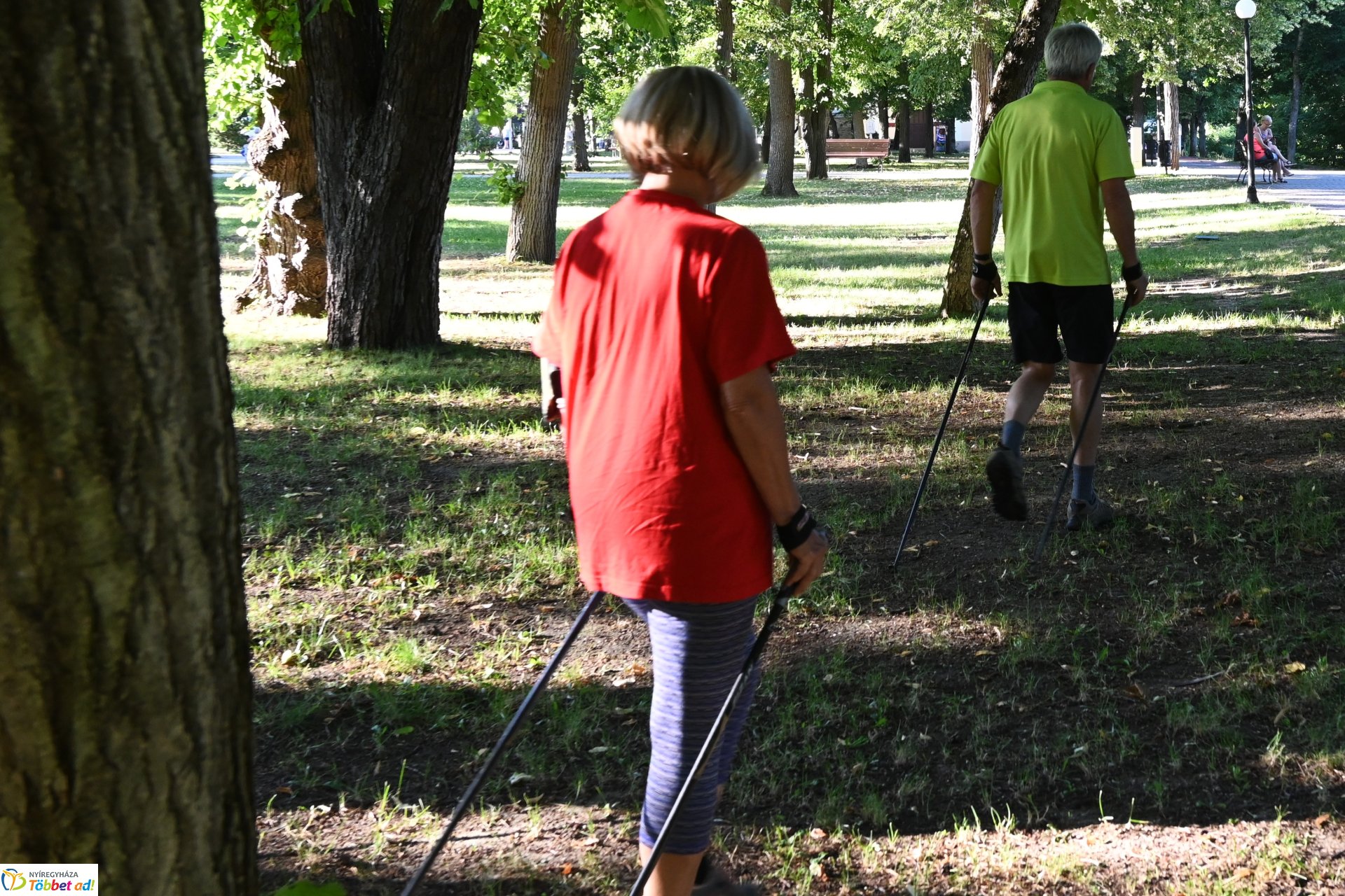 Szerdai nordic walking Sóstón, mely mindenki számára ingyenesen vehető igénybe