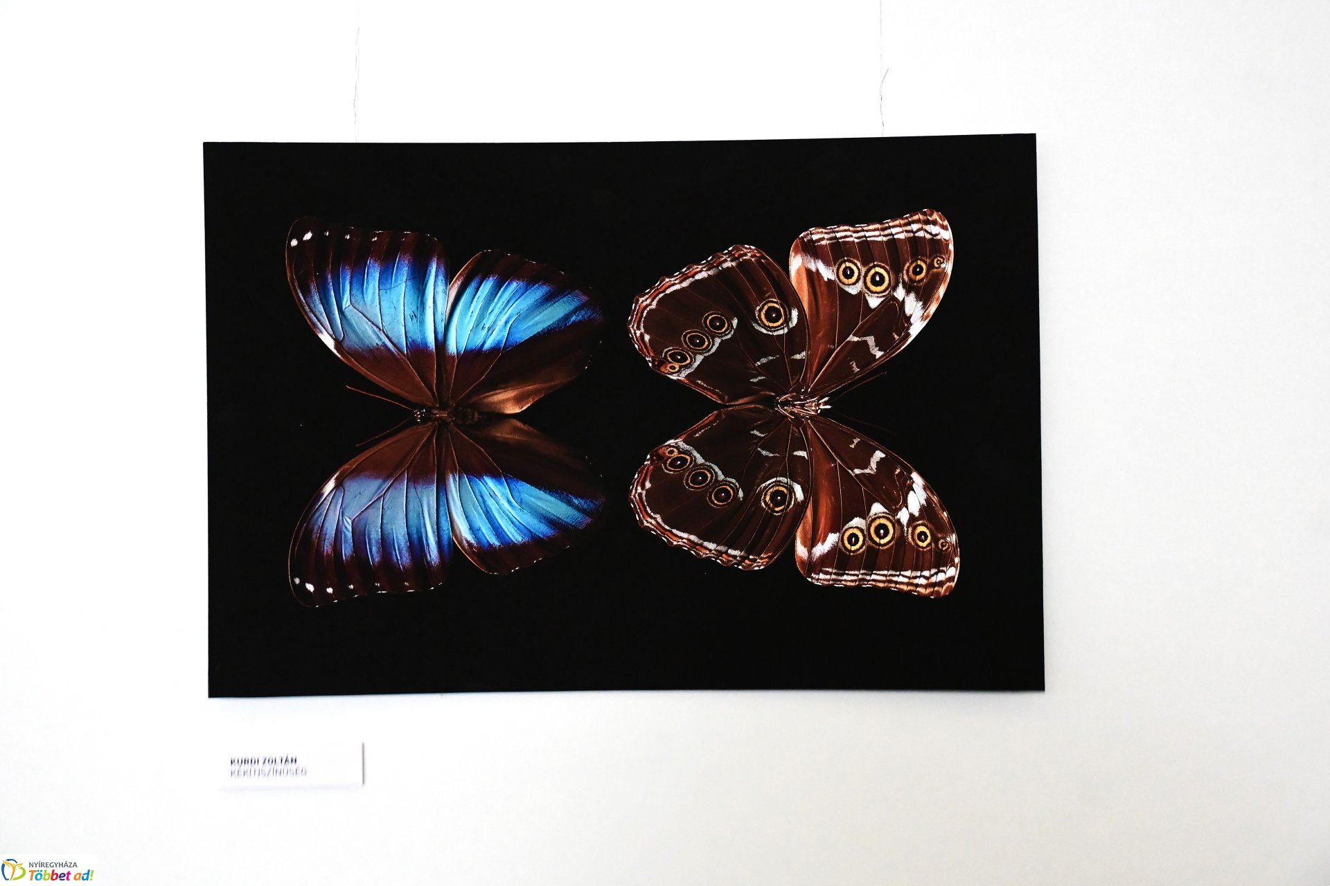 Színe és fonákja - kiállításmegnyitó a VMKK-ban