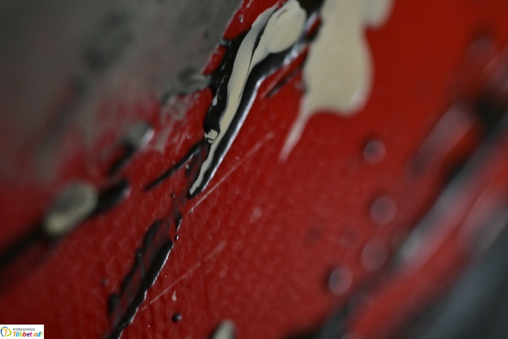 Színköd és Fényformák kiállítás 2025 májusában