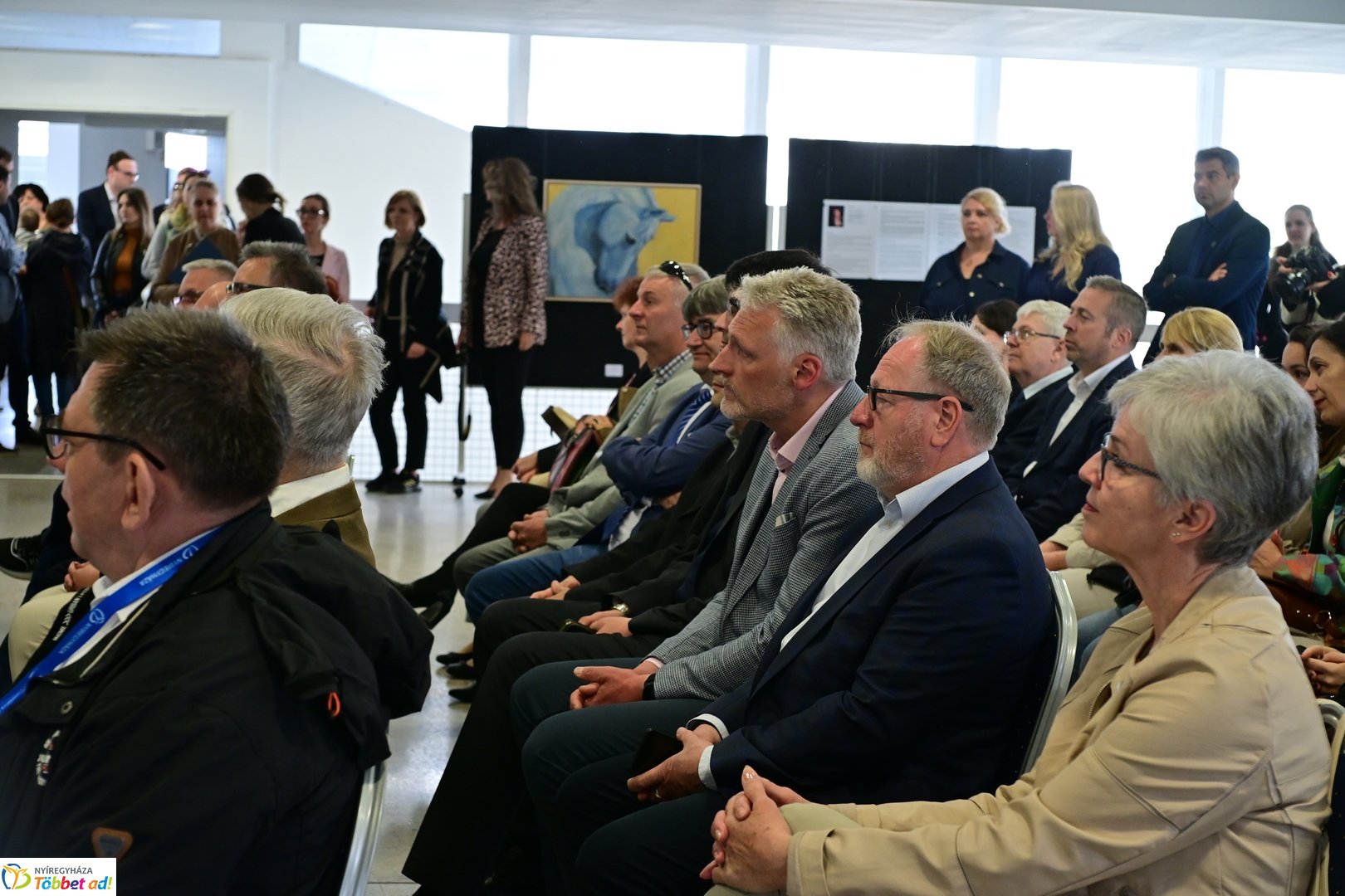 Színköd és Fényformák kiállítás 2025 májusában