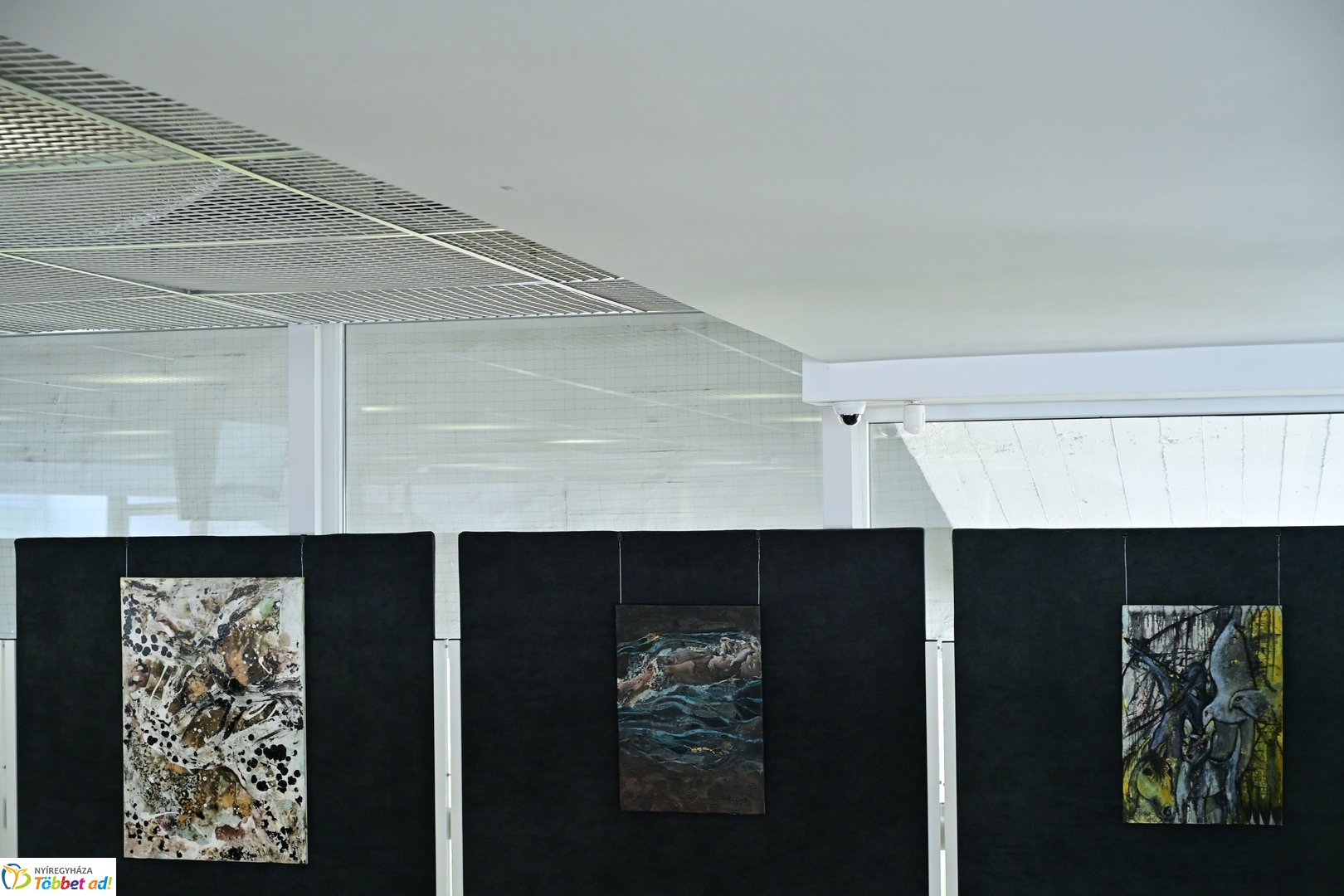 Színköd és Fényformák kiállítás 2025 májusában