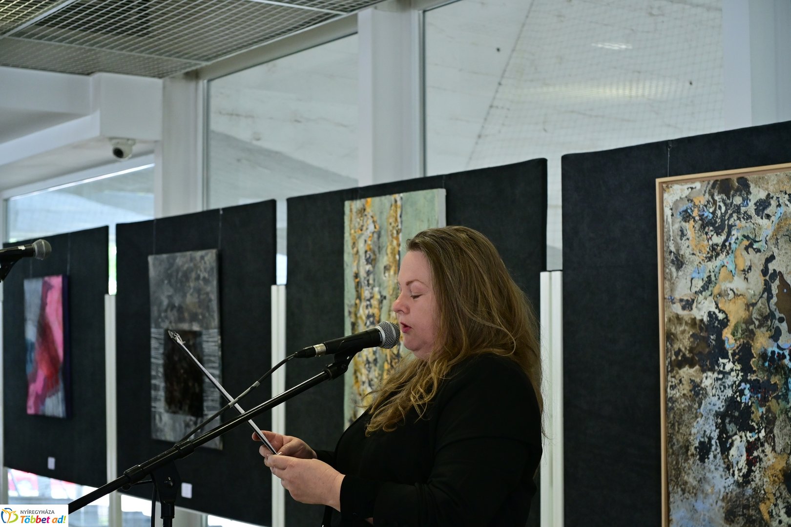 Színköd és Fényformák kiállítás 2025 májusában