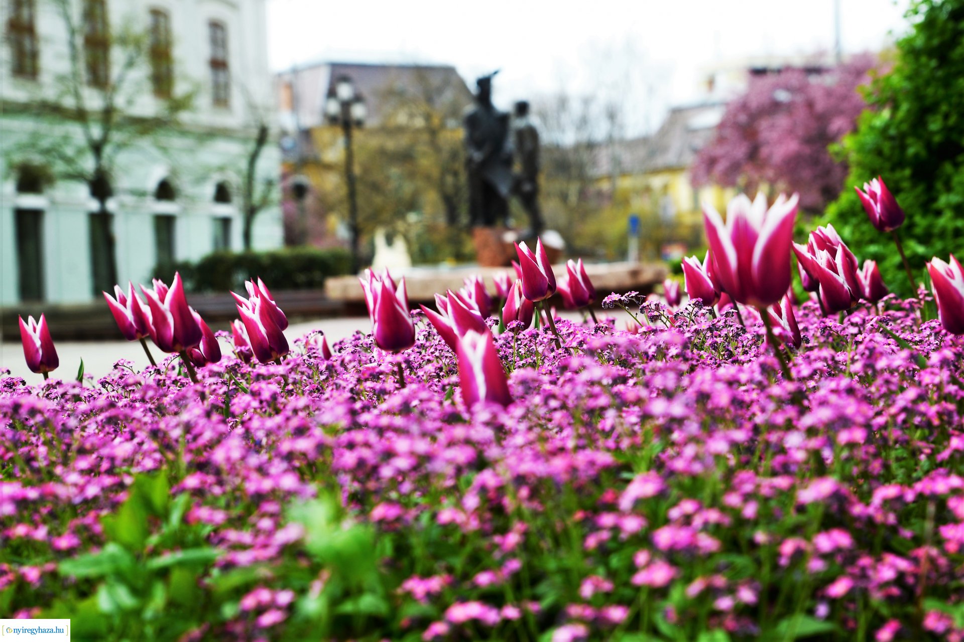 Színpompás belvárosunk