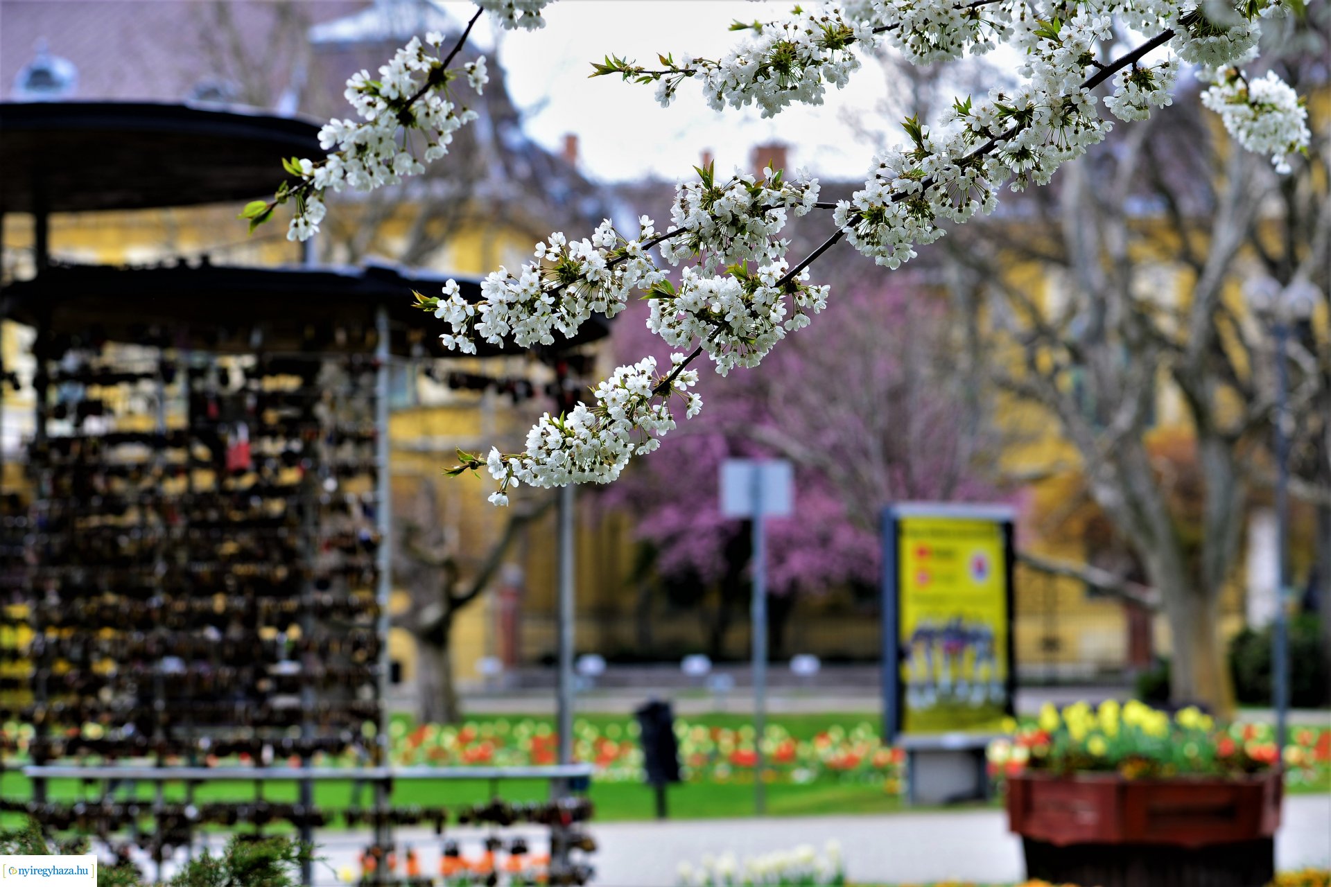 Színpompás belvárosunk
