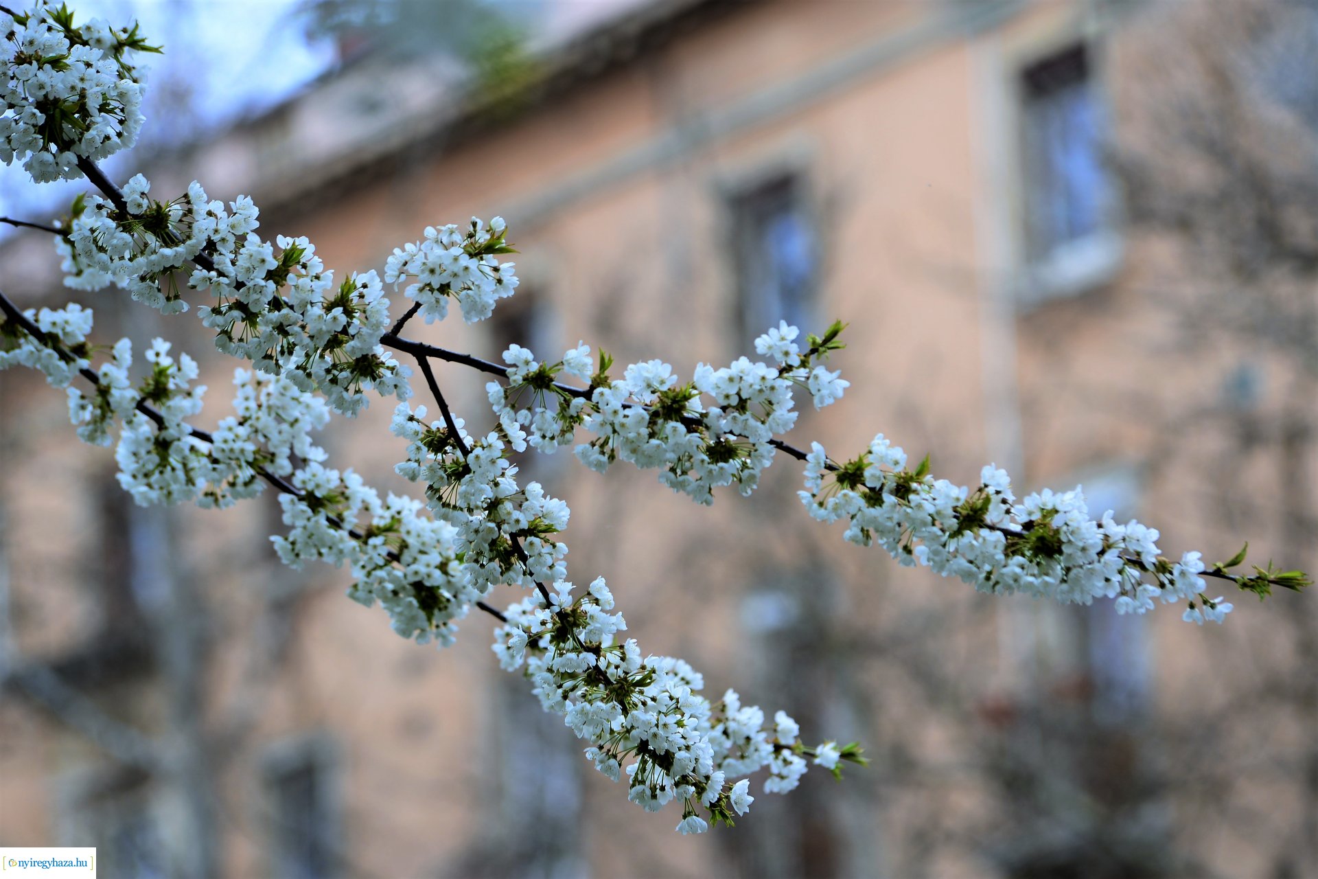 Színpompás belvárosunk