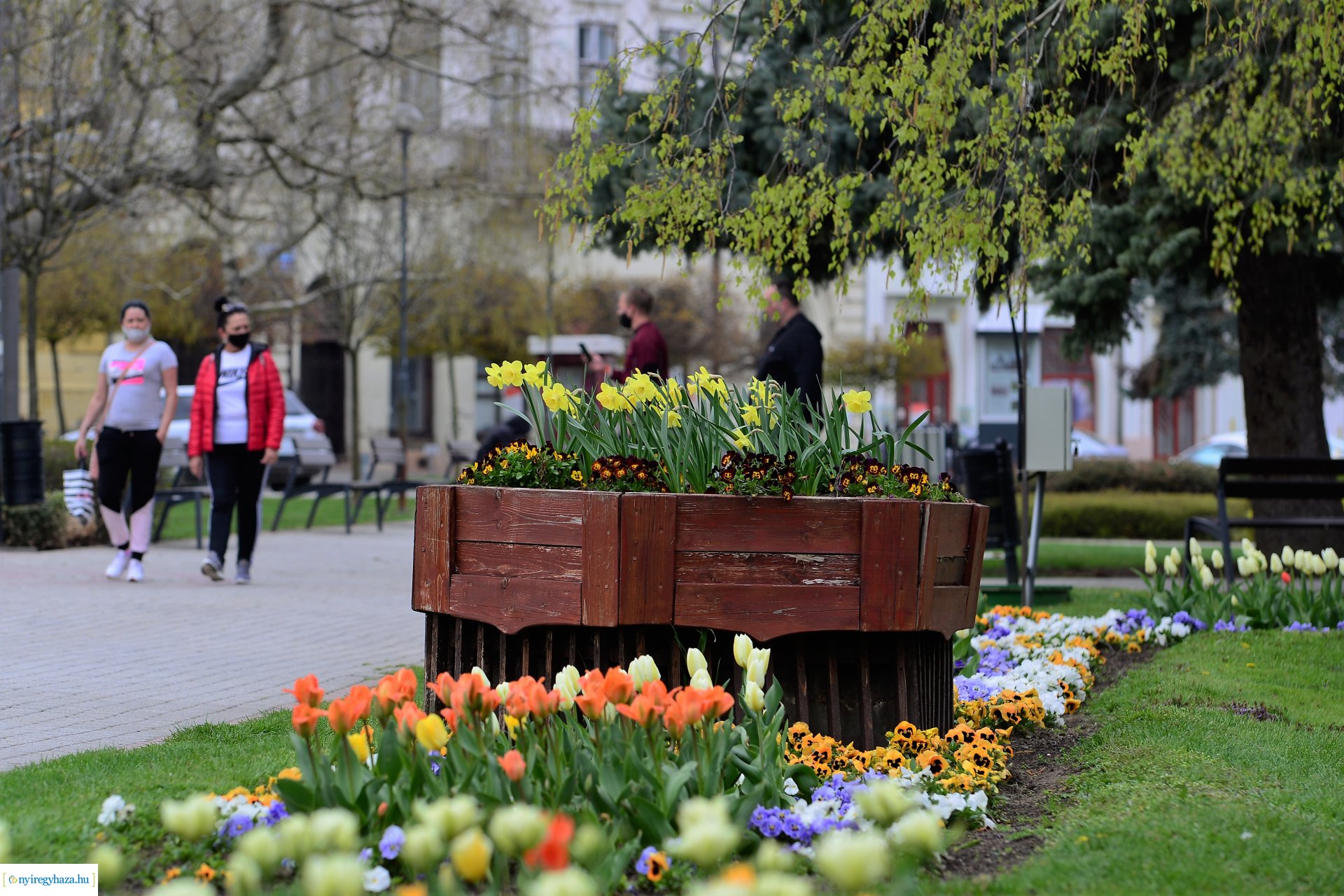 Színpompás belvárosunk