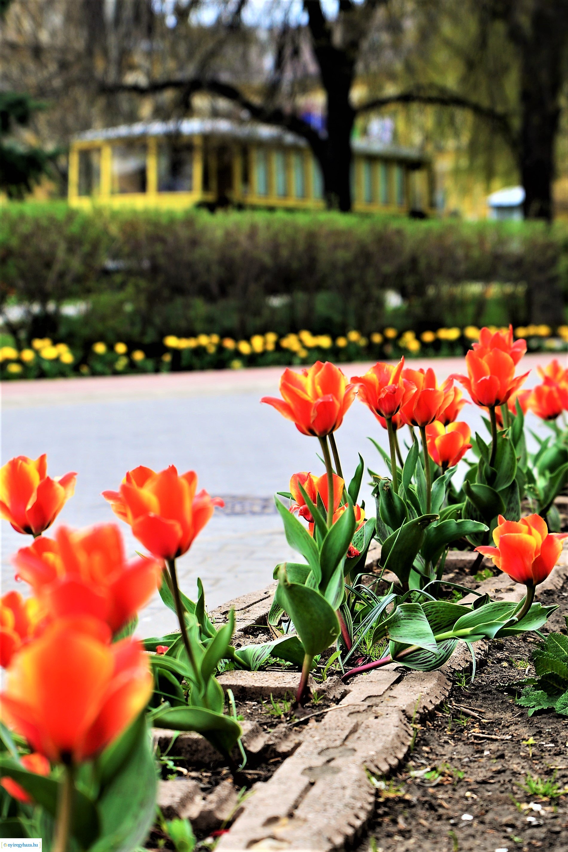 Színpompás belvárosunk