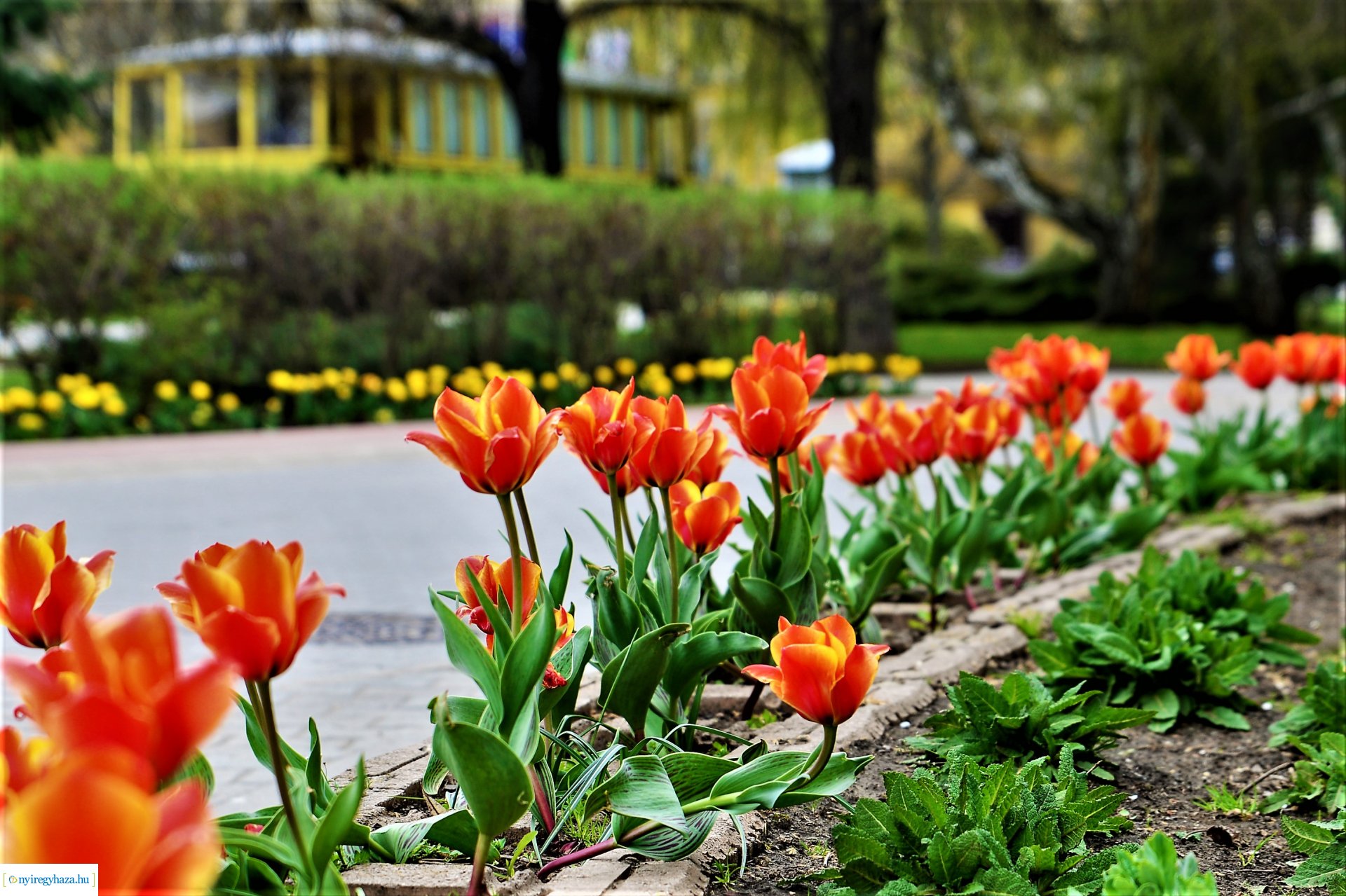 Színpompás belvárosunk