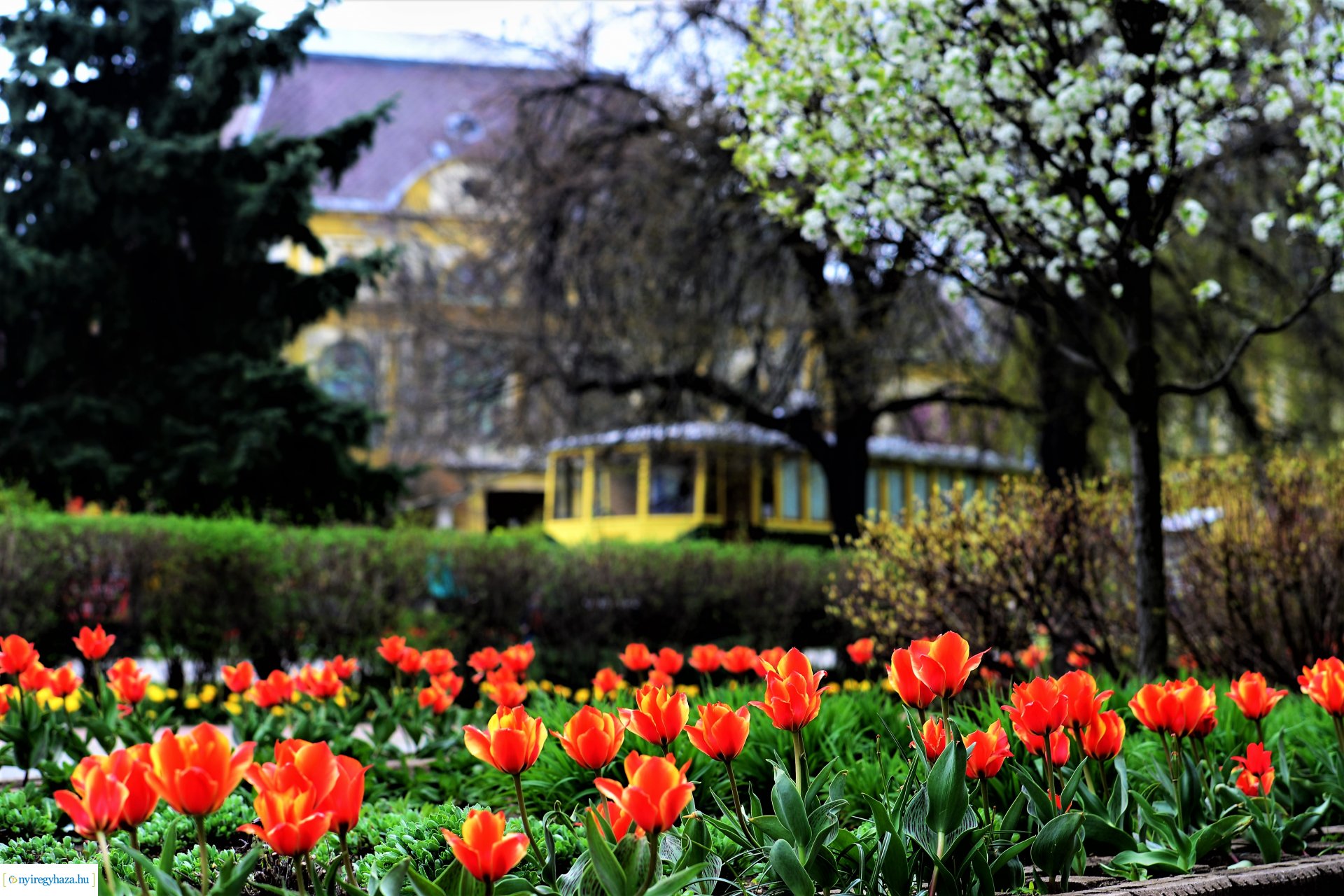 Színpompás belvárosunk