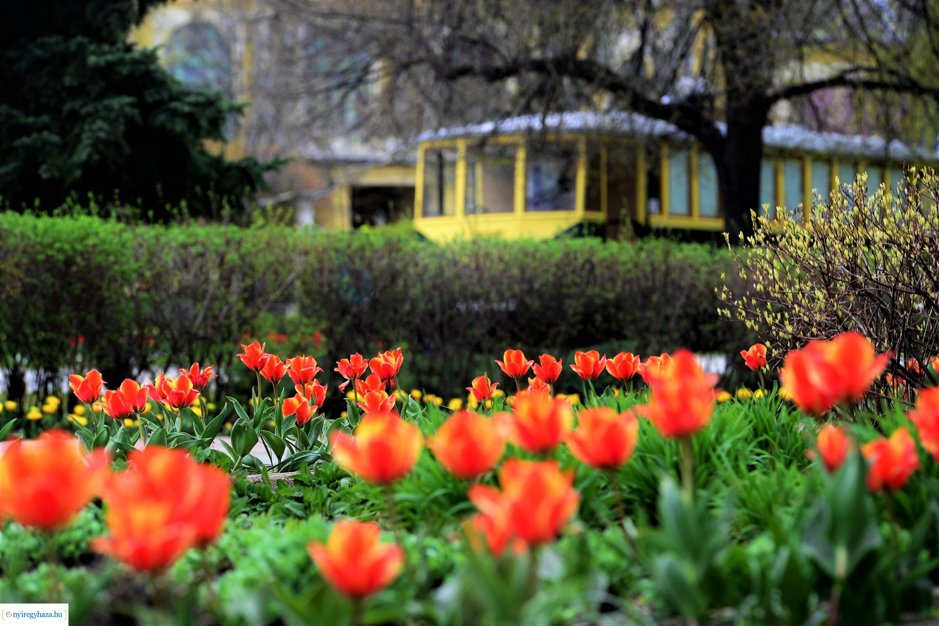 Színpompás belvárosunk