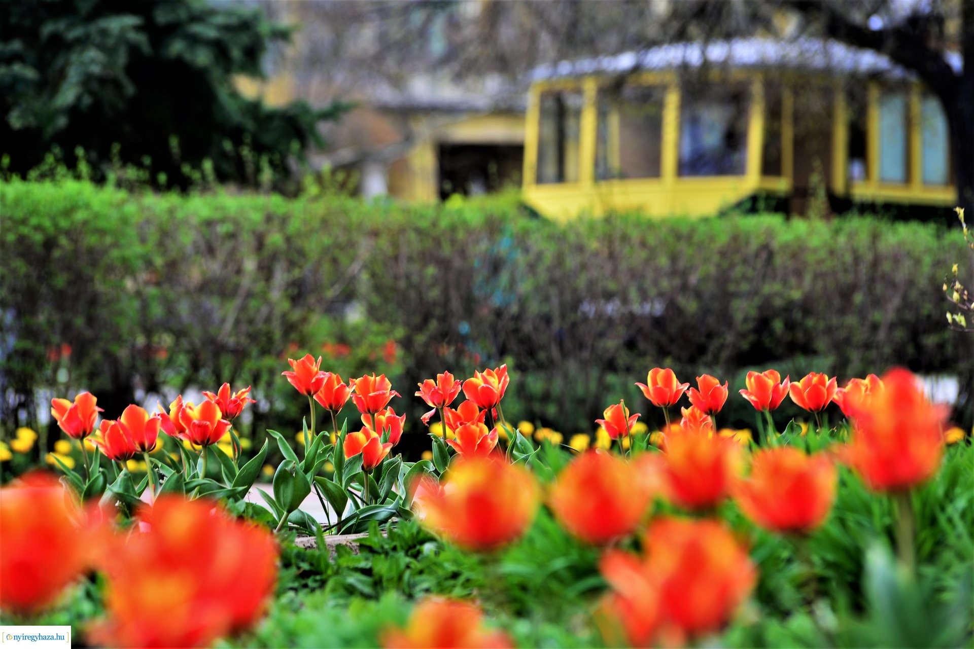 Színpompás belvárosunk