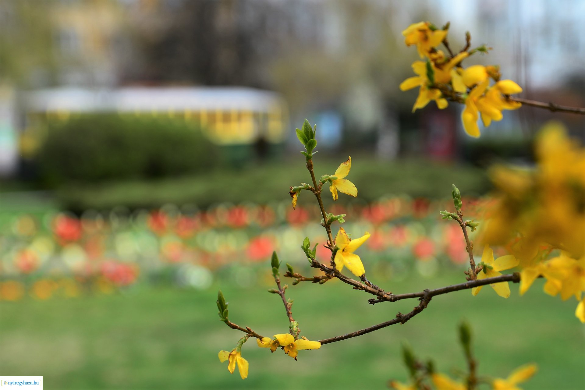 Színpompás belvárosunk