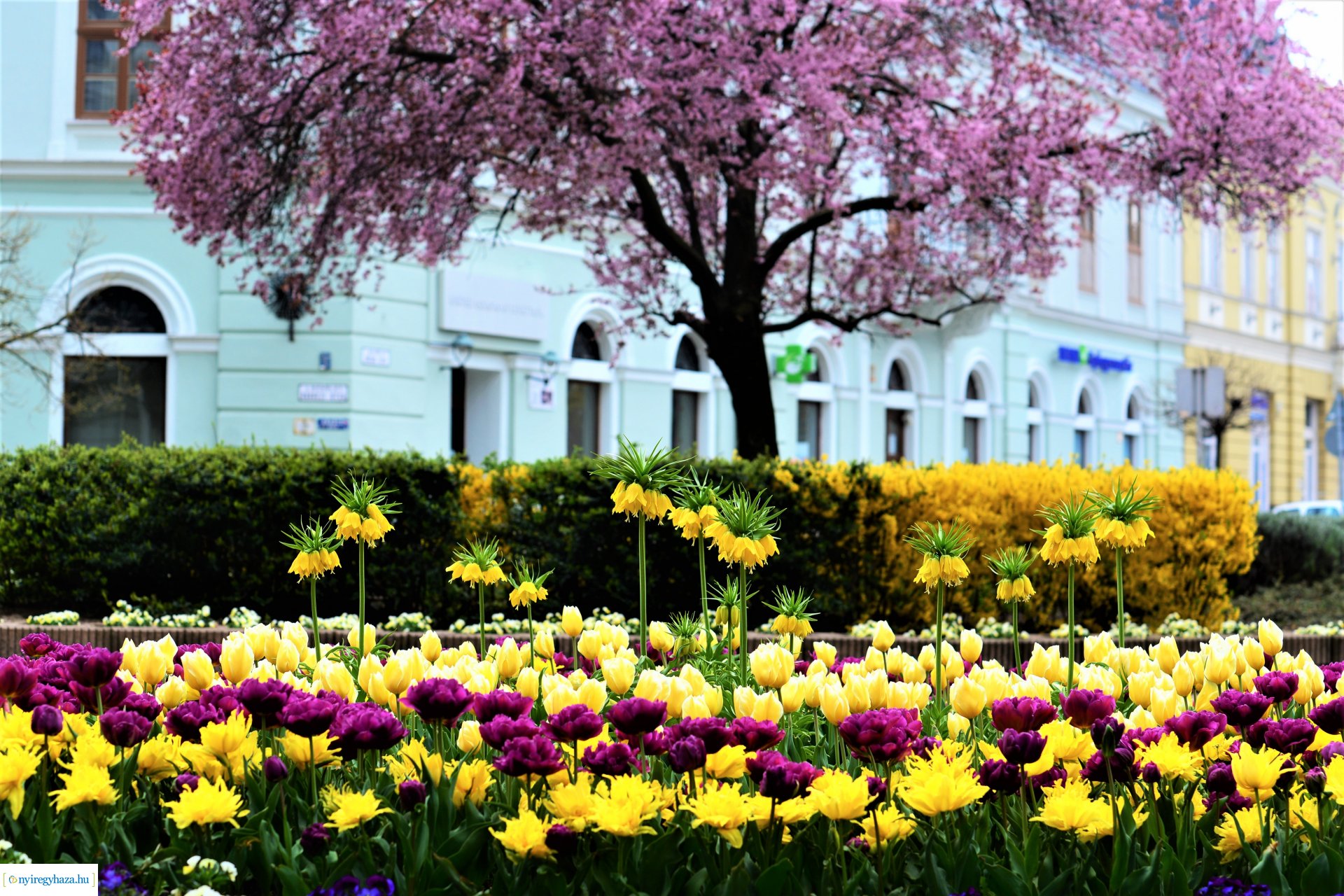 Színpompás belvárosunk