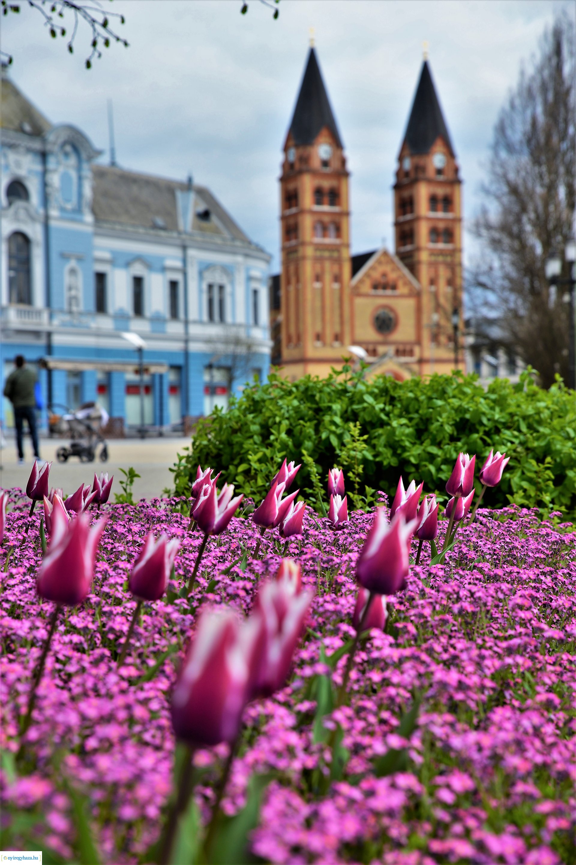 Színpompás belvárosunk