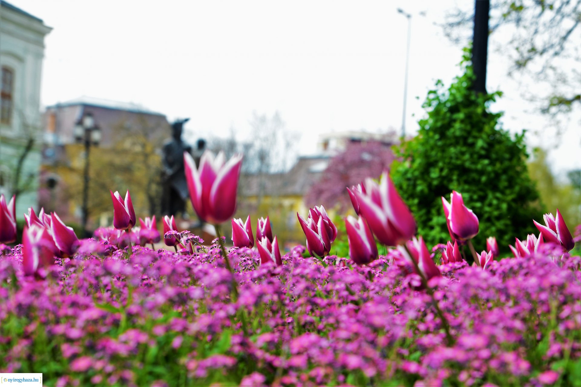 Színpompás belvárosunk