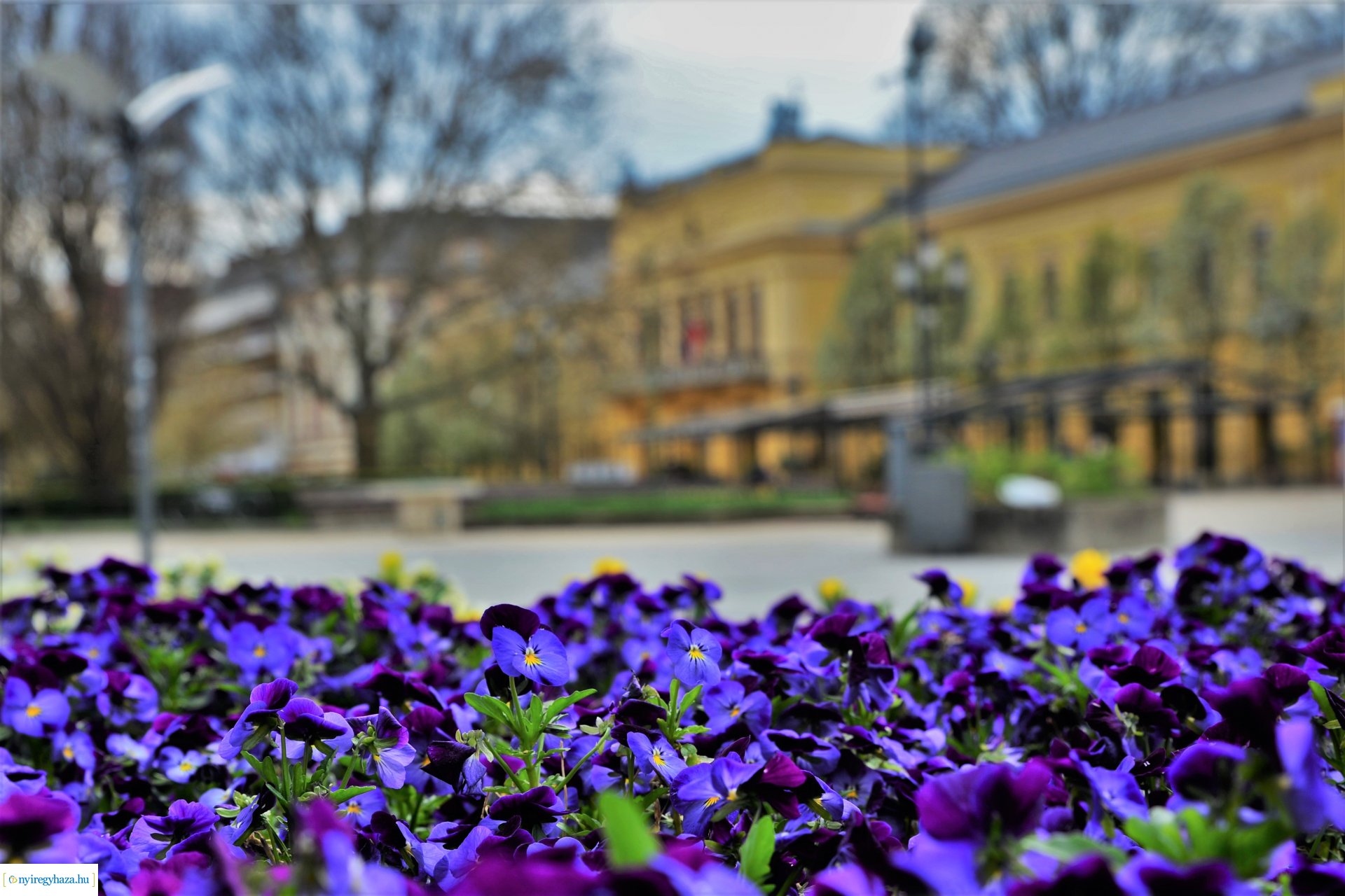 Színpompás belvárosunk