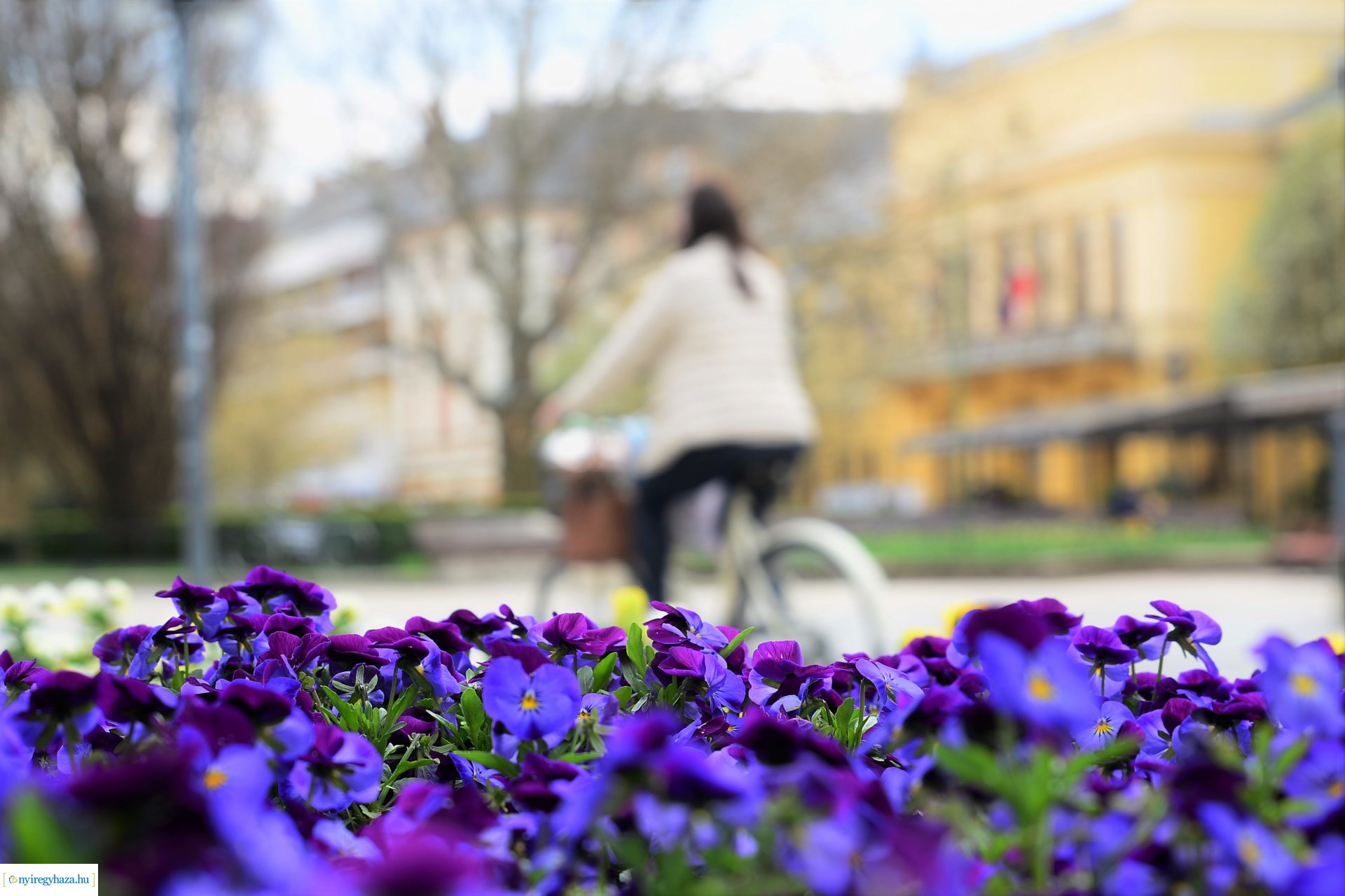 Színpompás belvárosunk