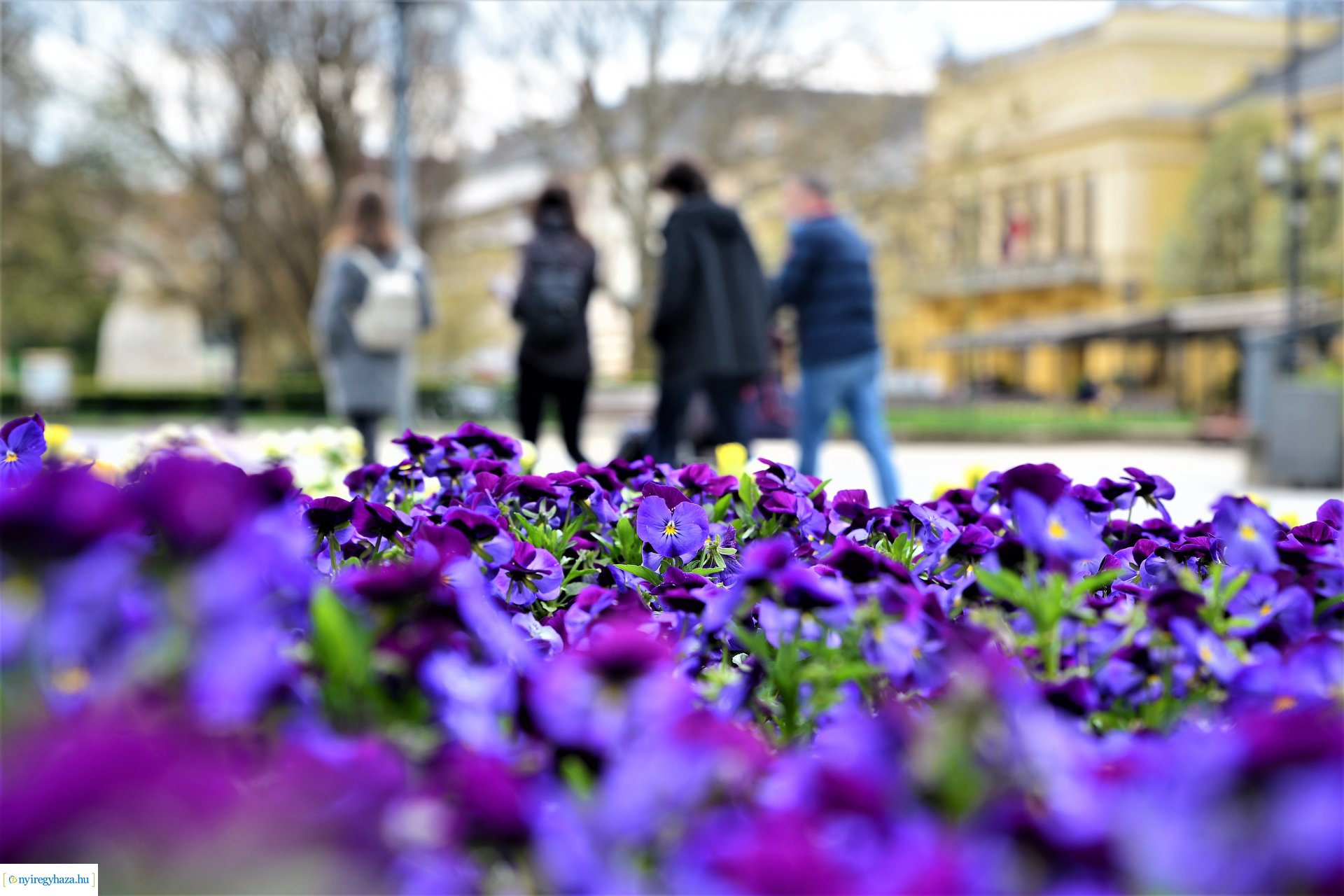 Színpompás belvárosunk