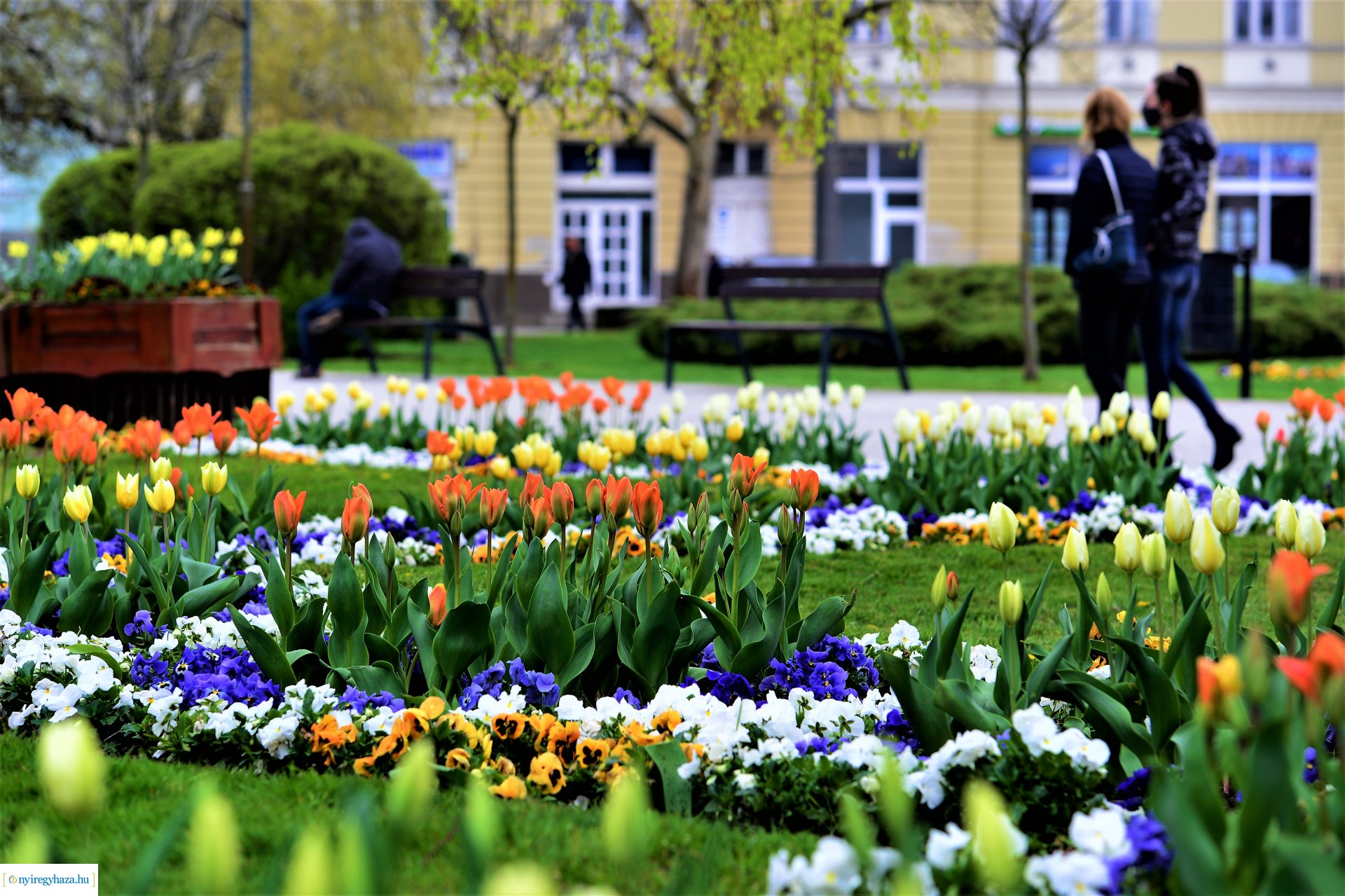 Színpompás belvárosunk